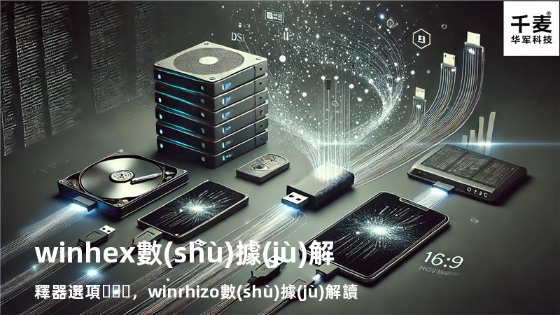 winhex數(shù)據(jù)解釋器選項，winrhizo數(shù)據(jù)解讀
